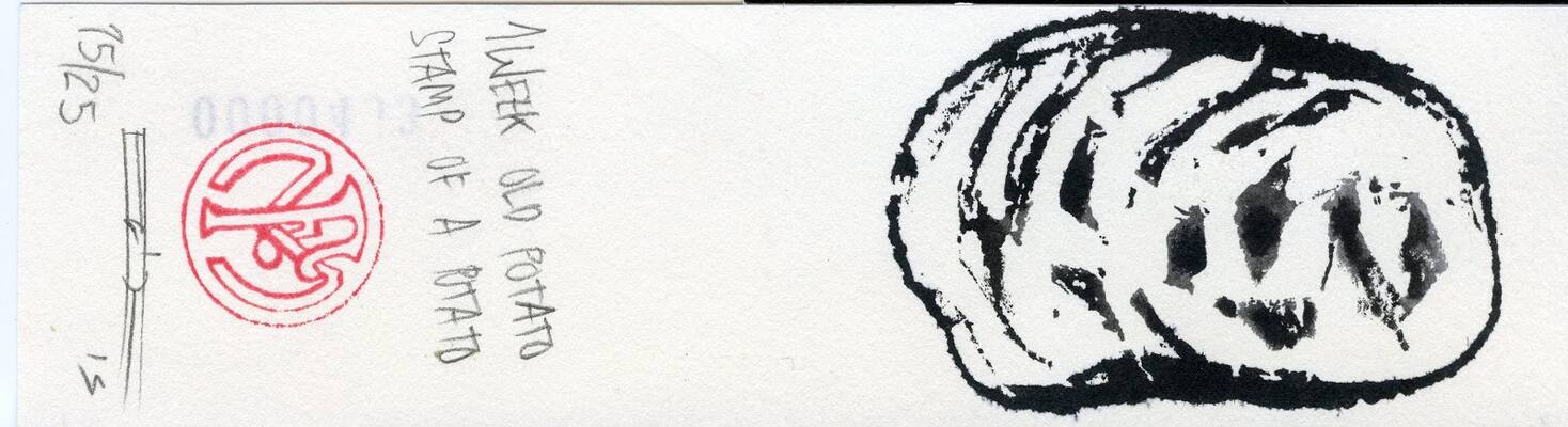 1 week old potato stamp of a potato
1 week old potato stamp of a potato