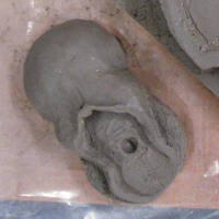 ceramics /