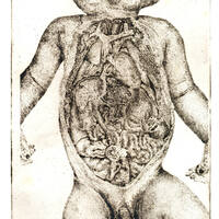 etching /