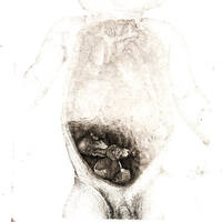 etching /