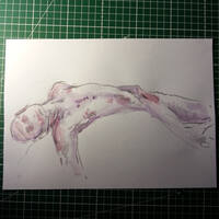drawing /