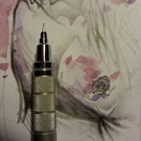 drawing /