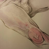 drawing /
