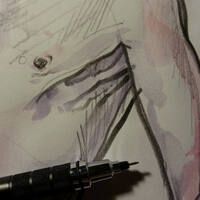 drawing /