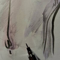 drawing /